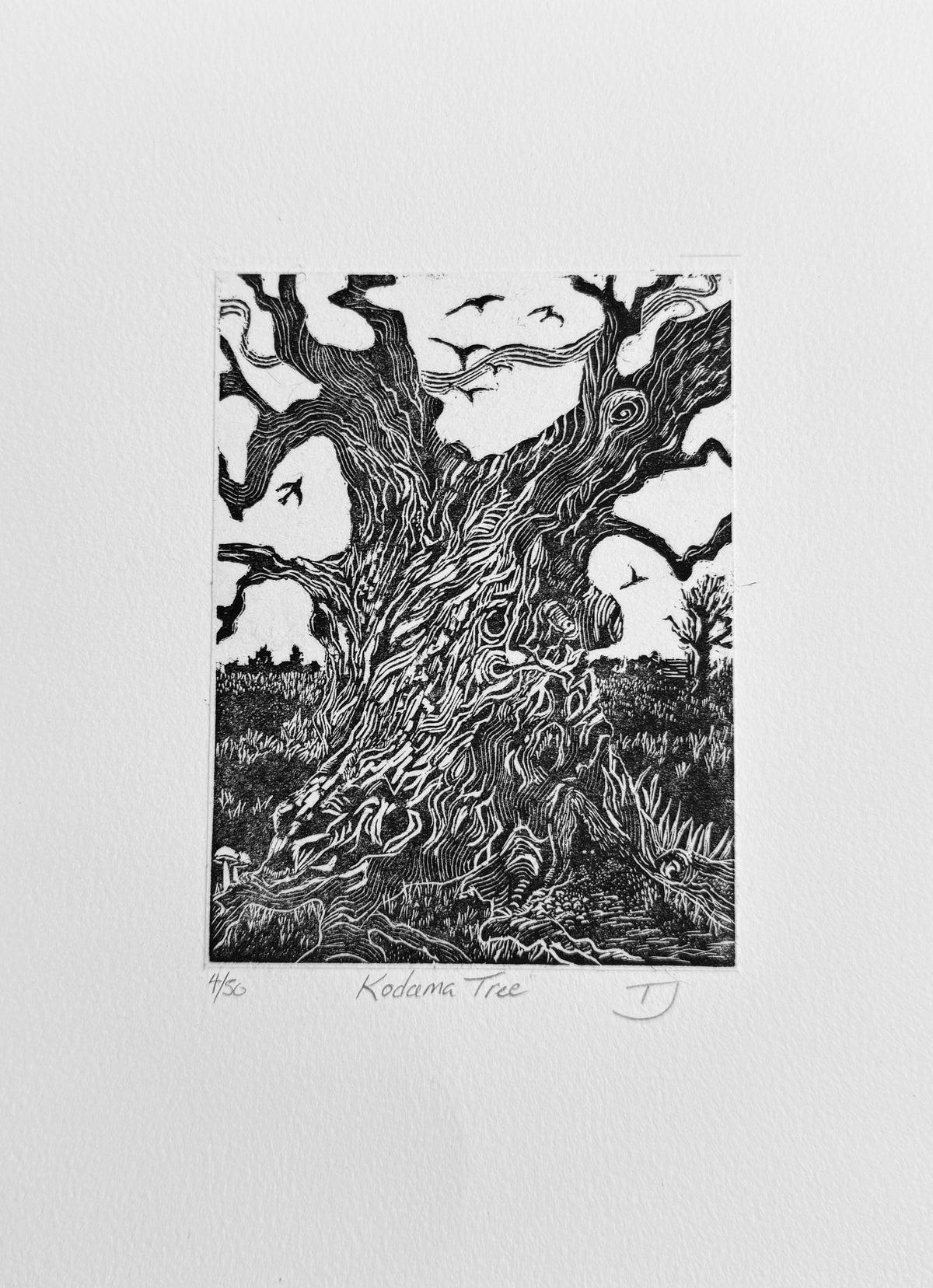 Kodama Tree