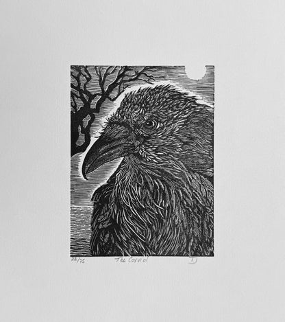 The Corvid King