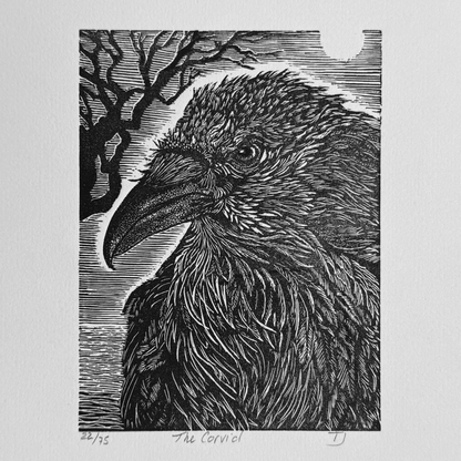 The Corvid King