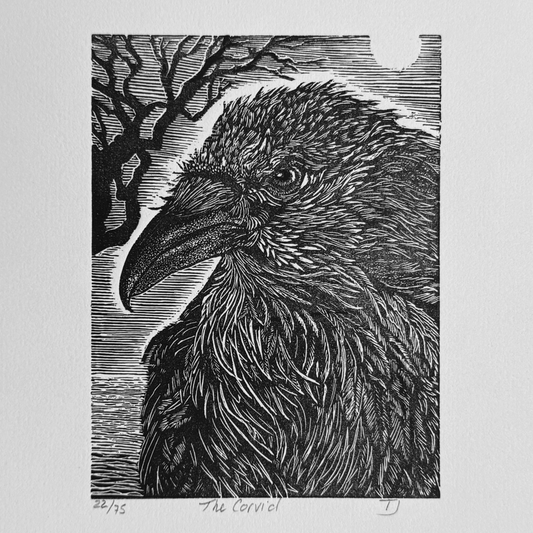 The Corvid King