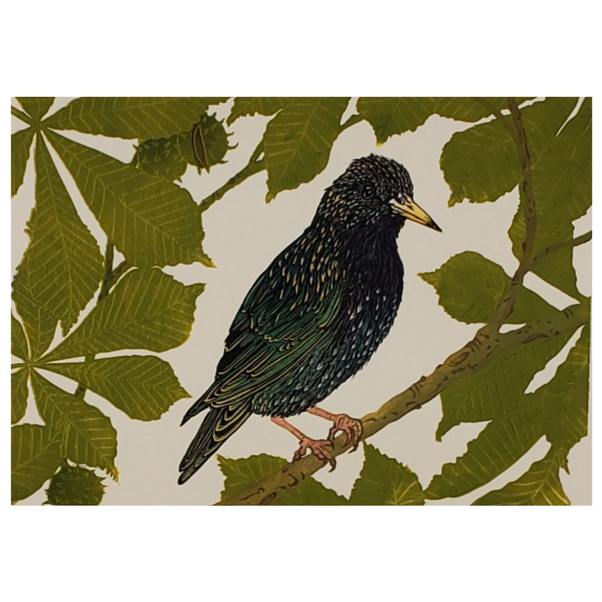 Starling in a chestnut tree