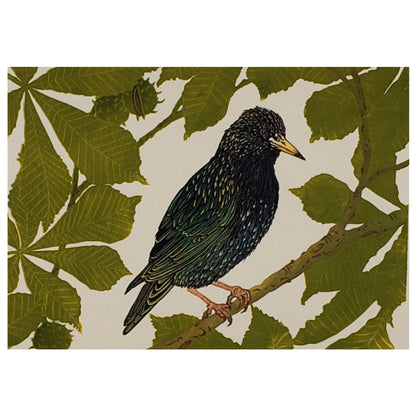 Starling in a chestnut tree