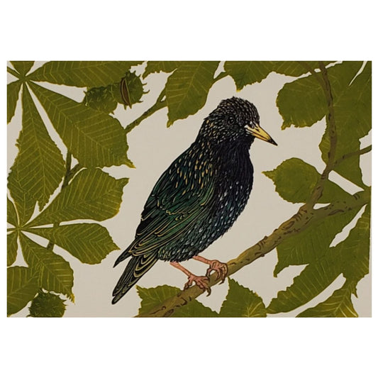 Starling in a chestnut tree