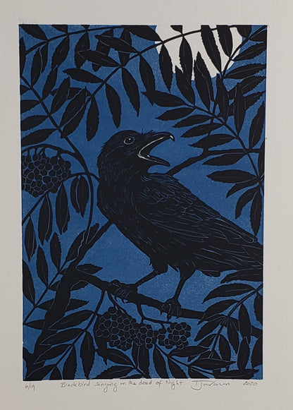 Blackbird singing in the dead of night