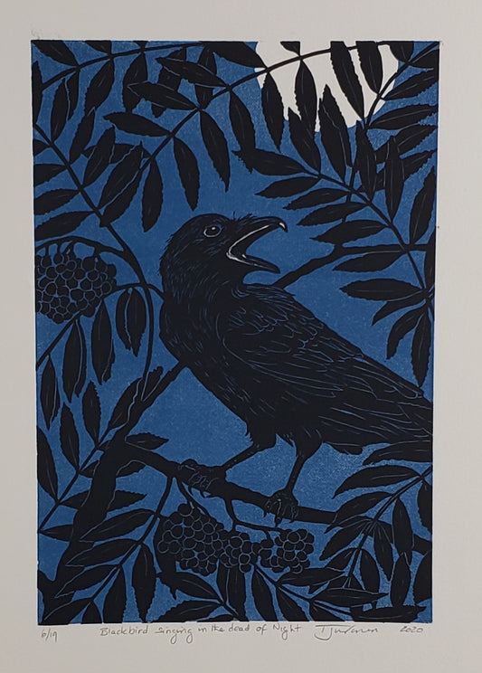 Blackbird singing in the dead of night