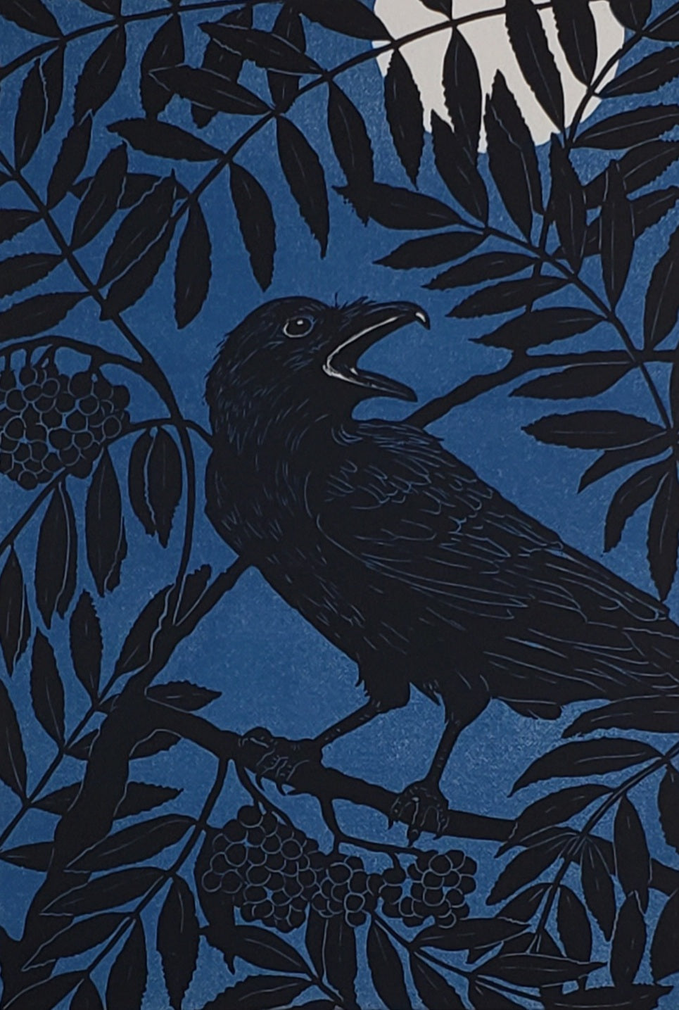 Blackbird singing in the dead of night