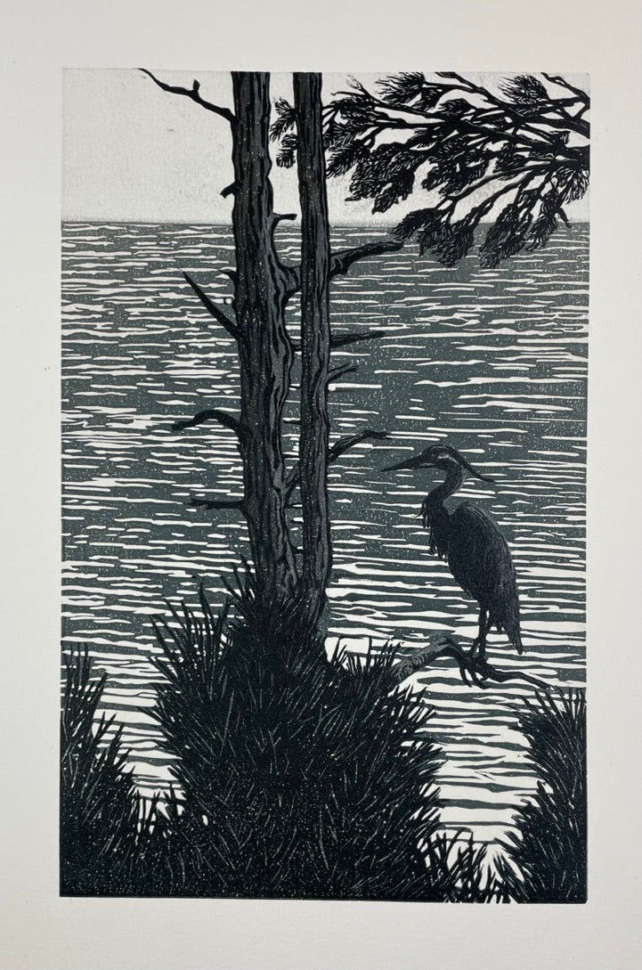 Solitude